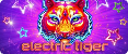 electric tiger slot